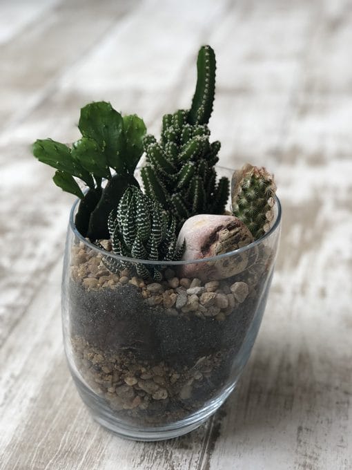 Terrário M <br> Vaso de Vidro - Image 2
