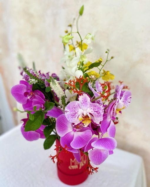 Box Pétit Cereja <br>Orquídeas