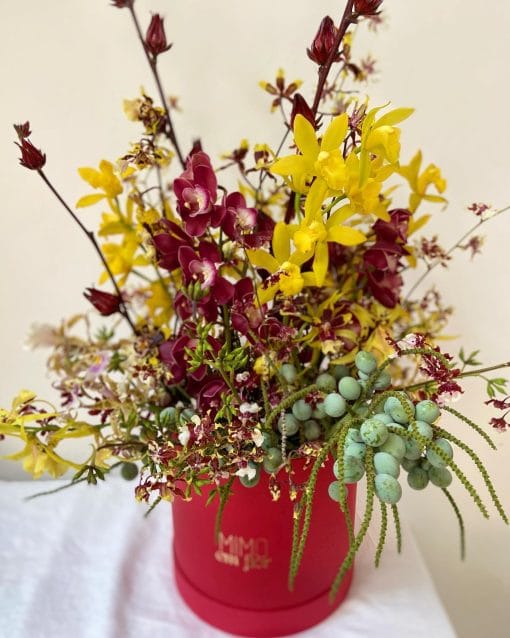 Box G Cereja <br>Orquídeas e Sementes