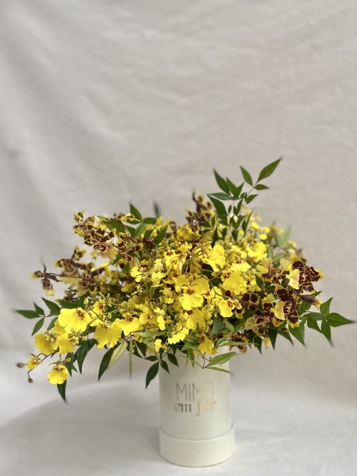 Box Pétit <br> Arranjo Clássico <br> Orquídeas Amarelas