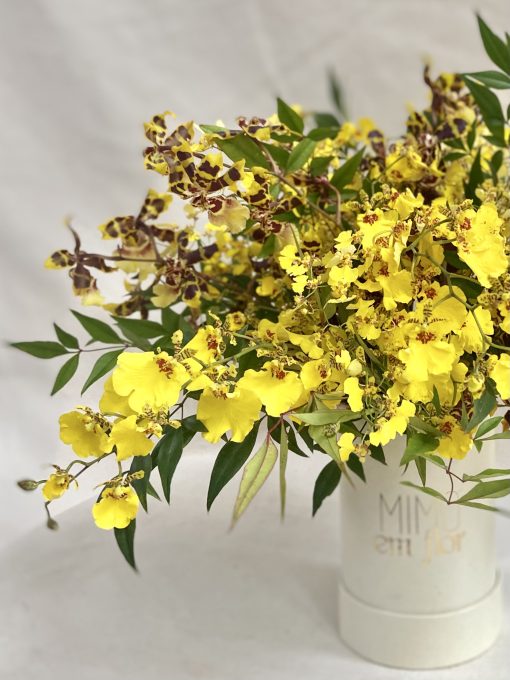 Box Pétit <br> Arranjo Clássico <br> Orquídeas Amarelas - Image 2