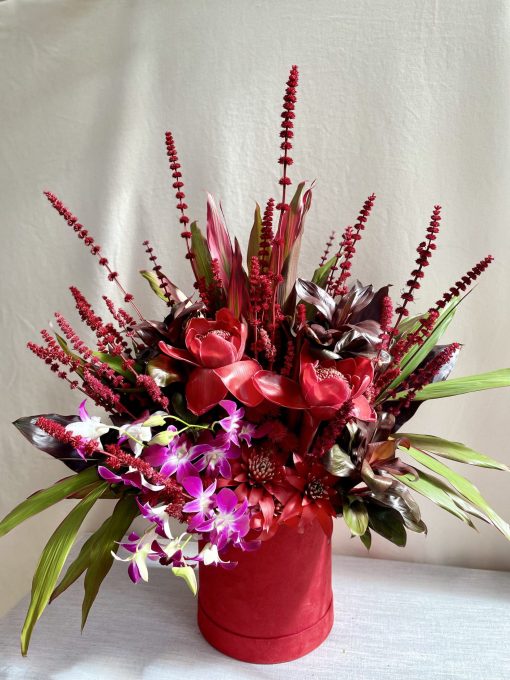 Box Camurça Cereja Arranjo GG <br>  Bastão-do-imperador, Orquídeas, Dracena