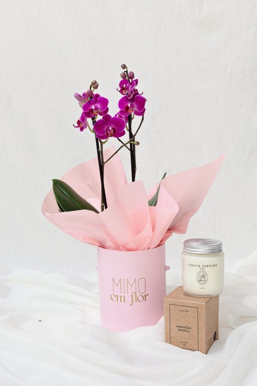Box M Orquídea Plantada com Vela Pote Magnólia Pacífica - Image 2