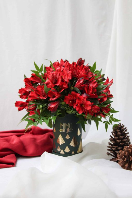 Box Pétit Natal Alstroeméria (mais cores disponíveis)