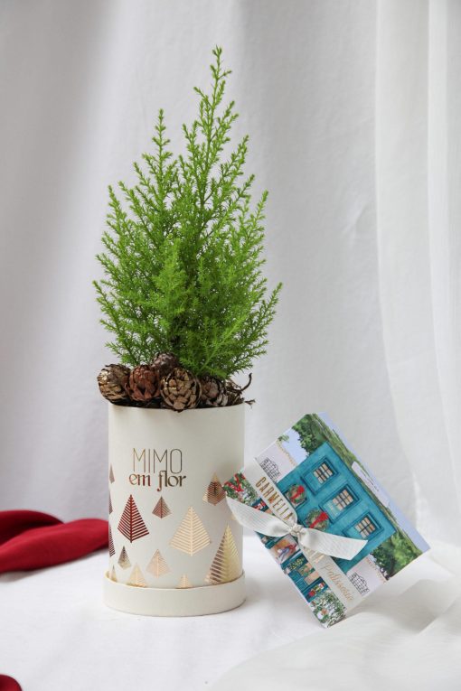Kit Box Pétit Natal Tuia-Limão e Caixa 6 Doces (mais opções)