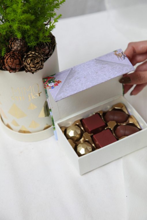Kit Box Pétit Natal Tuia-Limão e Caixa 6 Doces (mais opções) - Image 2