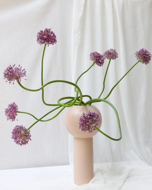 Vaso Cerâmica Design com Flor de Alho (mais tamanhos e cores disponíveis)