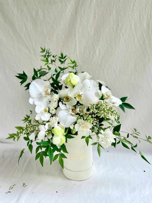 Box Branco e Verde Orquídea (mais cores e tamanhos disponíveis)