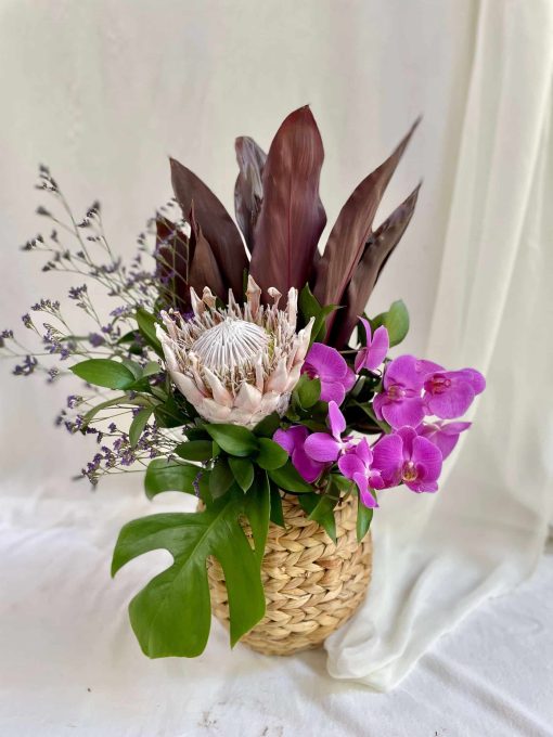 Vaso Fibra Natural com Protea King Desidratada