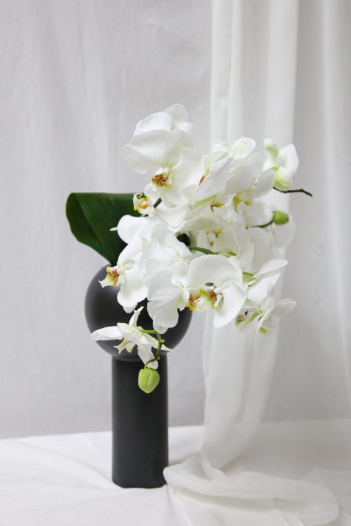Kit Vaso M Design Orquídea com baby Chandon - Image 4