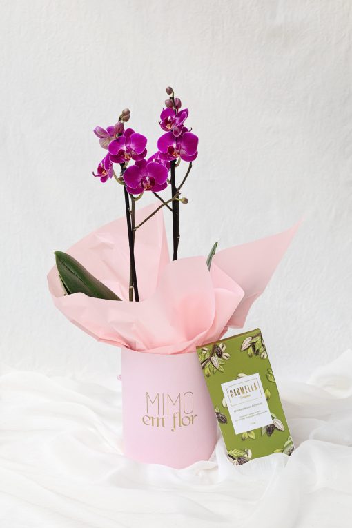 Box M Orquídea Plantada com Barra de Brigadeiro de Pistache Carmella Patisserie